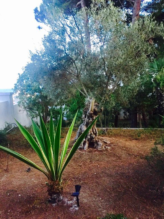 Le Due Pigne (adults Only) Holiday home *