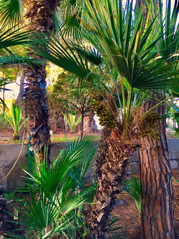 Le Due Pigne (adults Only) Taranto