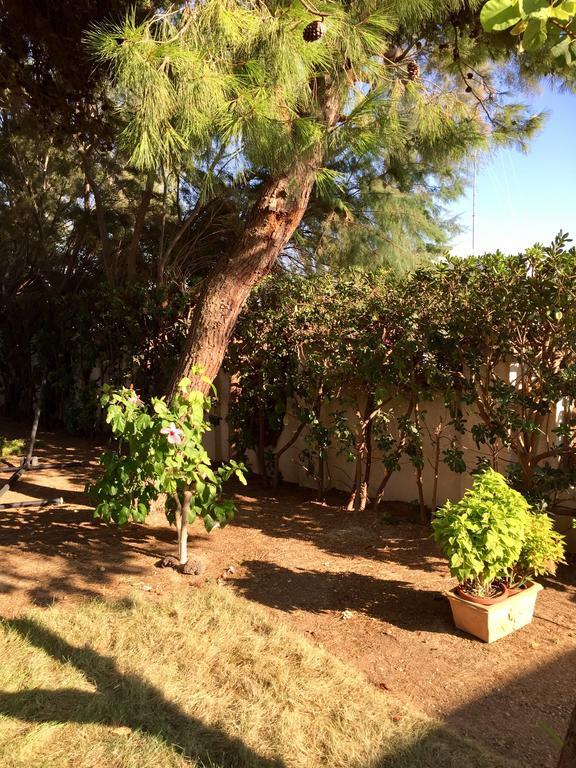 Holiday home Le Due Pigne (adults Only) Taranto